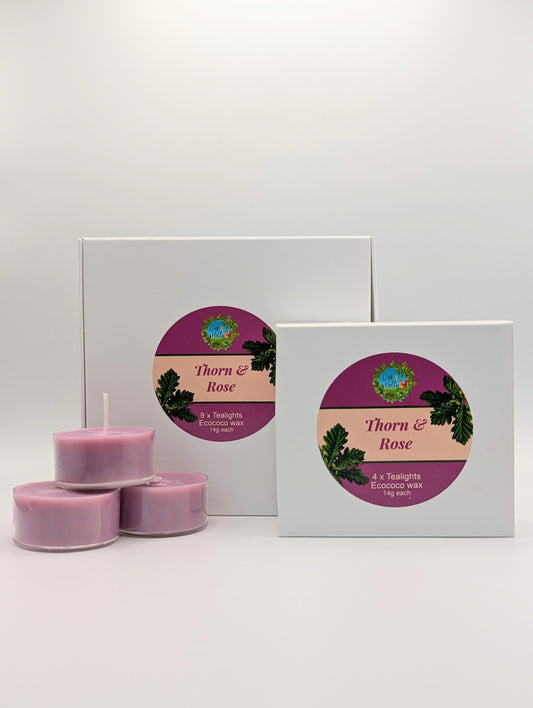 Tealight discovery bundle