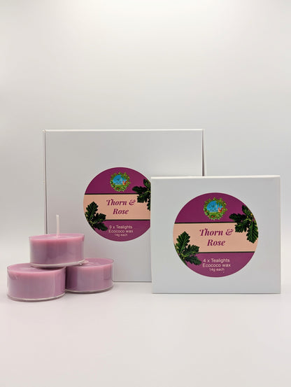 Tealight discovery bundle