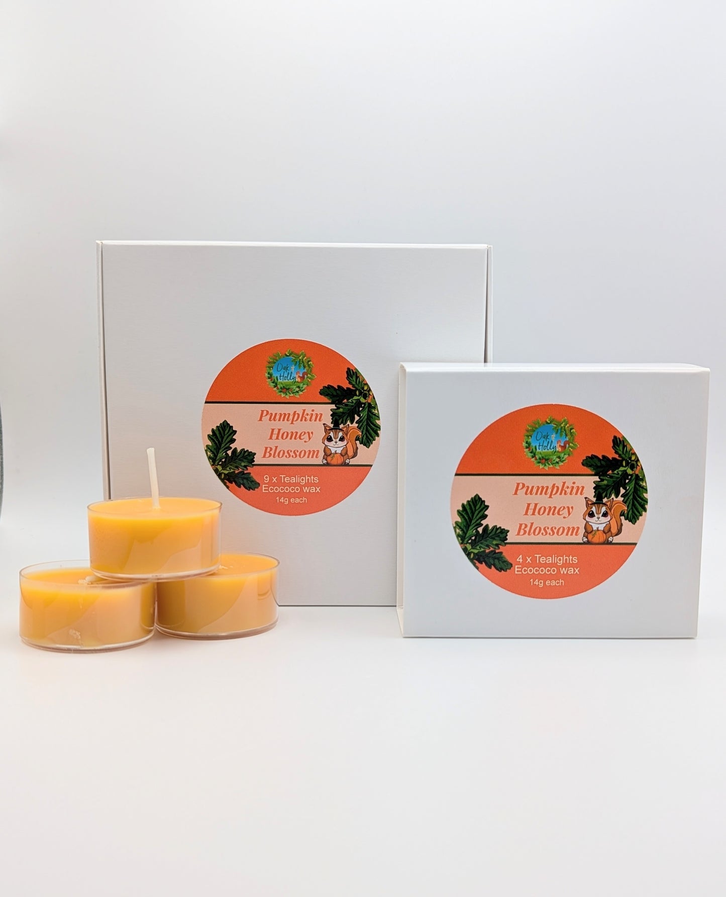 Tealight discovery bundle