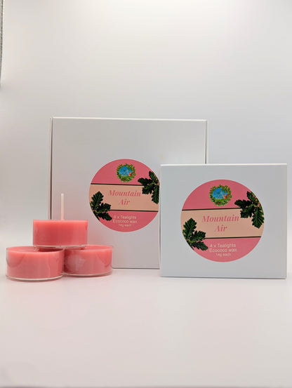 Tealight discovery bundle